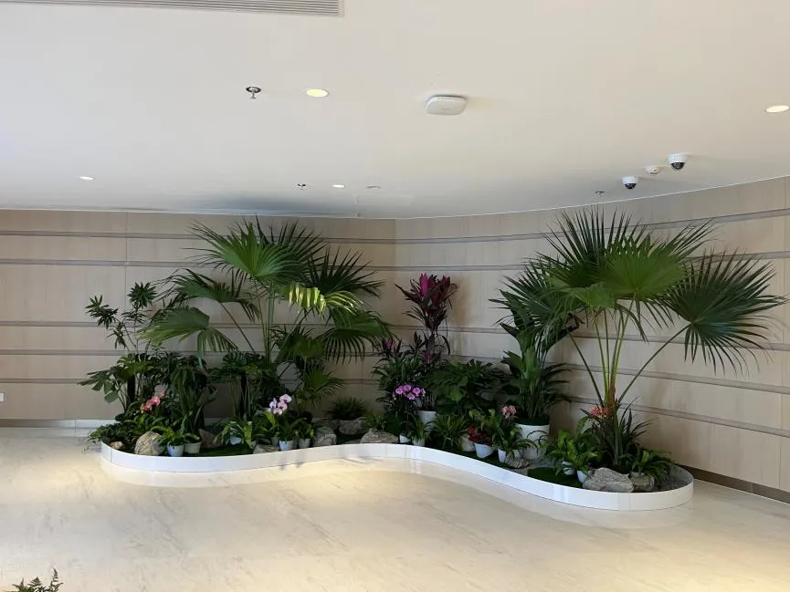 宁波慈溪盆景出租服务好><div class=